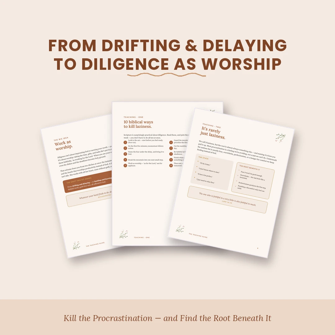 The Diligent Woman Kit