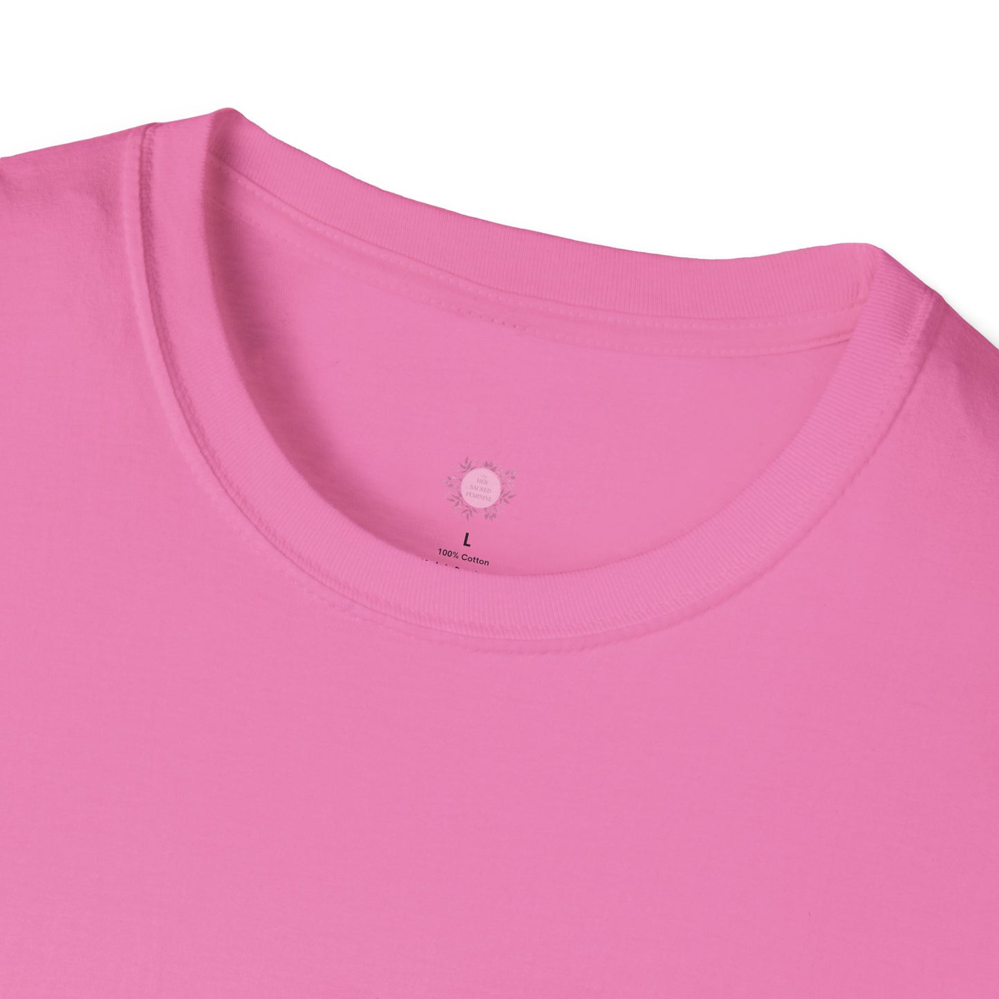 Proverbs 31 T-Shirt